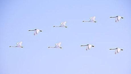 爆料称PS6将成为光追性能强者 4K分辨率稳定60fps